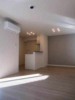 居室・リビング　LDK14.7帖