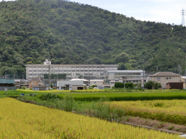 中学校　四郷中学校（中学校）まで828m
