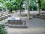公園　中新井公園（公園）まで427m