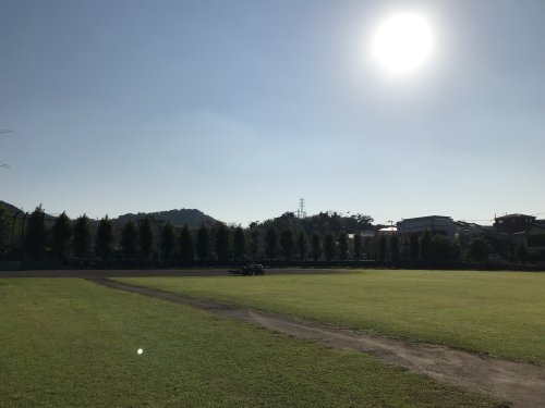 公園　衣笠公園（公園）まで507m