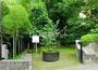 公園　いろは親水公園（公園）まで984m