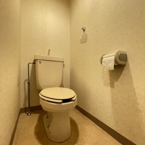 トイレ　同仕様タイプです