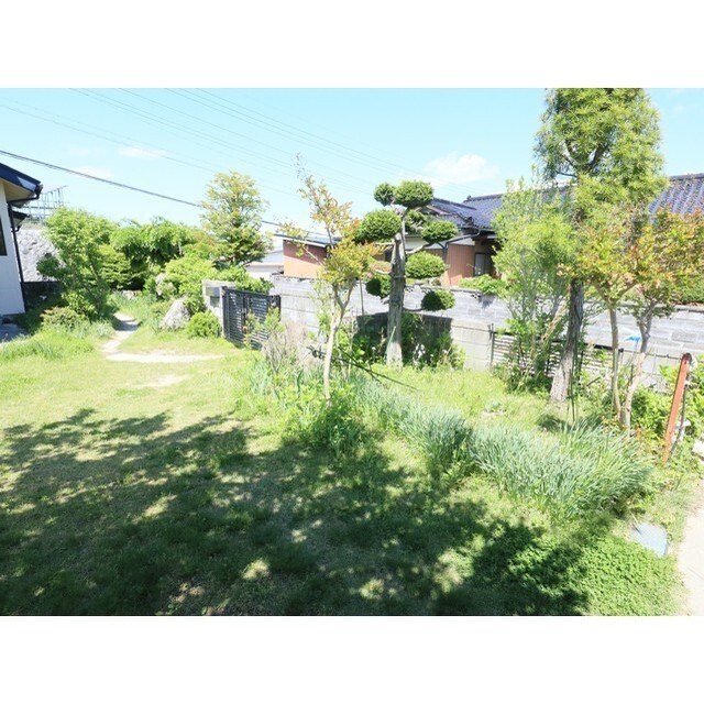 庭