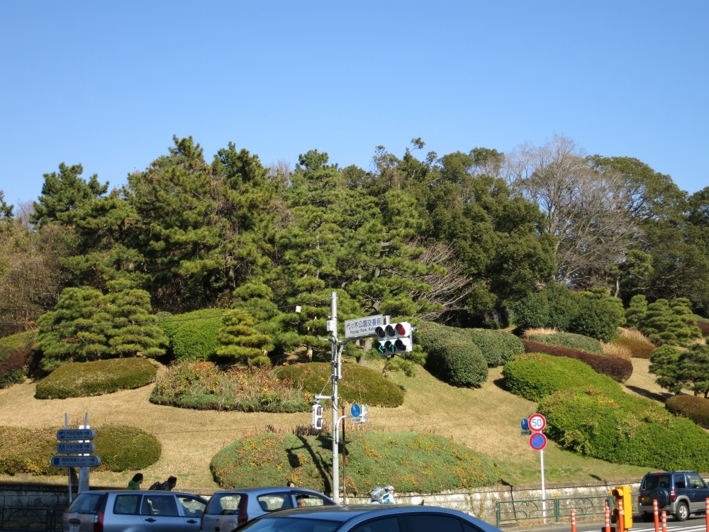 公園　代々木公園（公園）まで1108m