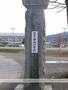 小学校　諏訪市小学校中洲小学校（小学校）まで443m