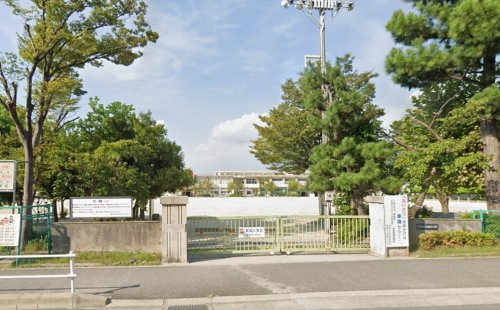 小学校　羽根小学校（小学校）まで569m