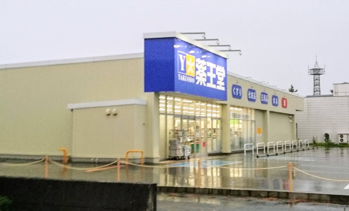 ドラックストア　薬王堂寒河江日田店（ドラッグストア）まで673m