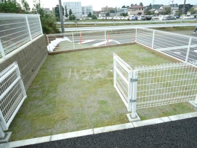 庭