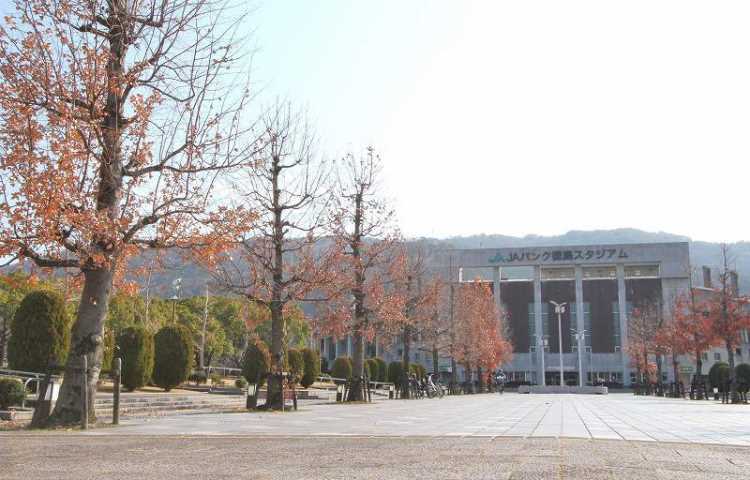 その他　むつみスタジアム（その他）まで586m