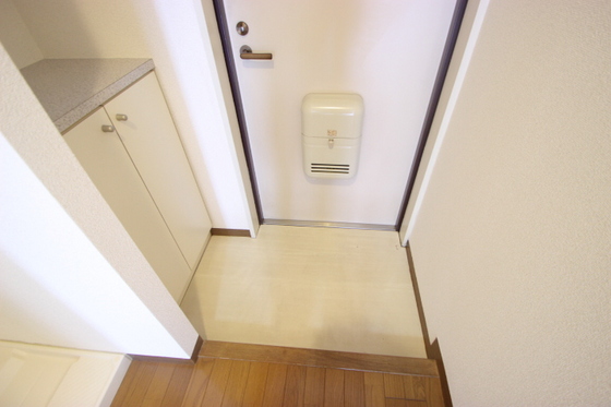 玄関　※別号室の写真になります。