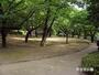 公園　哲学堂公園（公園）まで775m