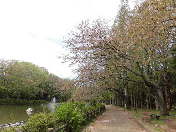 【ルミエール鎌ヶ谷の公園】