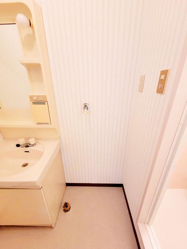 その他部屋・スペース　洗濯機置場（イメージ）