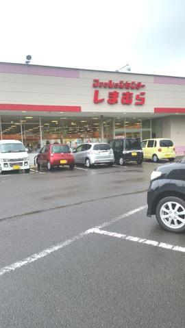 その他　しまむら（その他）まで611m