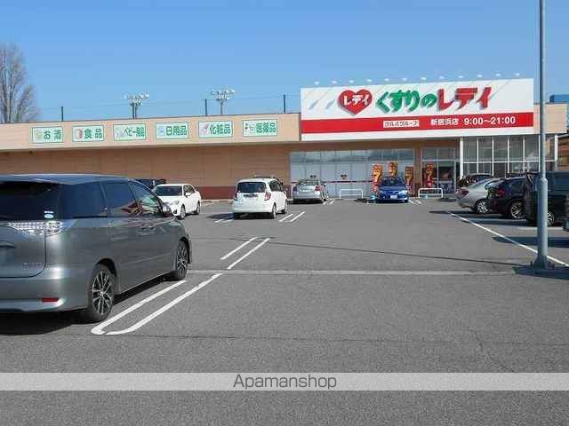 ドラックストア　レディ薬局新居浜店様（ドラッグストア）まで700m