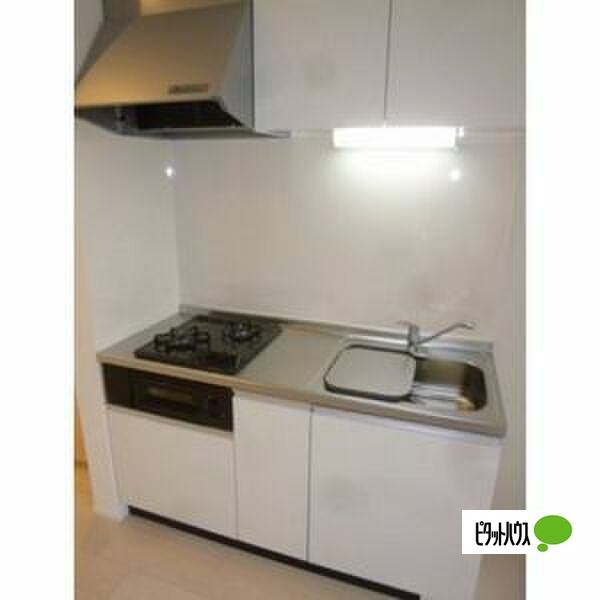 キッチン　他号室の写真です。