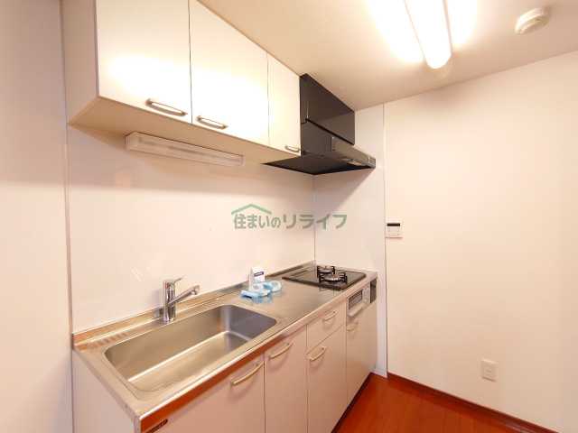 キッチン　ソリッド大橋