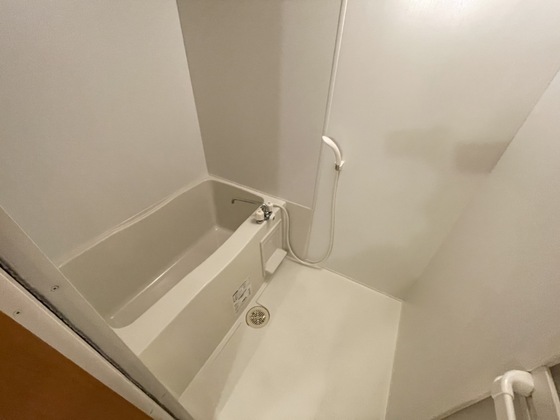 バス・シャワールーム　※別部屋の写真です