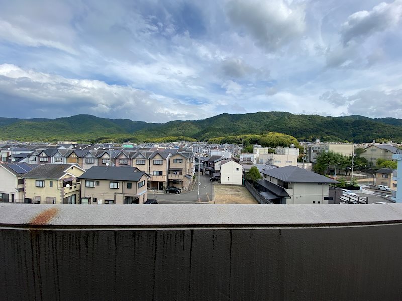 眺望　※同タイプの他のお部屋です