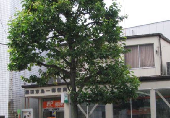 郵便局　墨田京島一郵便局（郵便局）まで323m