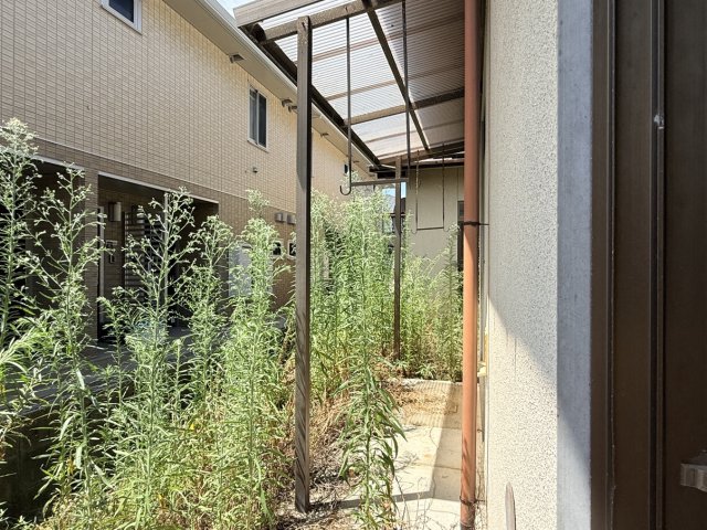 庭