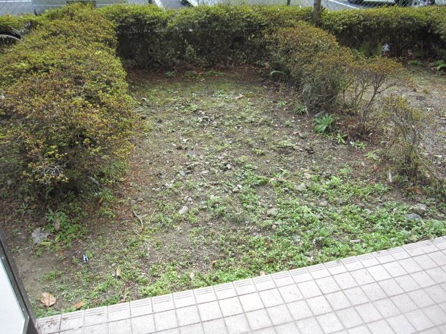 庭　庭
