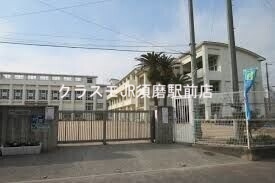 小学校　神戸市立真野小学校（小学校）まで544m