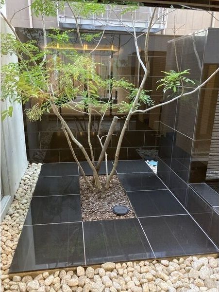 庭