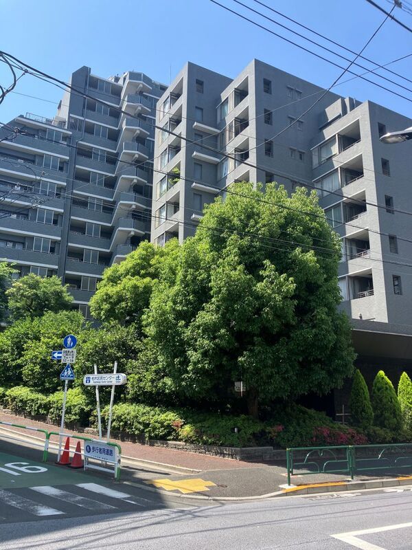 建物外観　落ち着いた雰囲気の外観です
