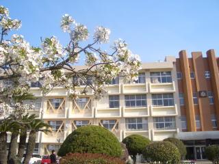 中学校　倉敷市立倉敷第一中学校（中学校）まで1549m