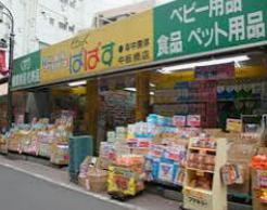 ドラックストア　どらっぐぱぱす中板橋店（ドラッグストア）まで578m