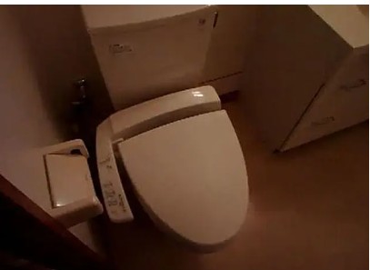 東急池上線 洗足池駅 徒歩10分 2階建 築25年のトイレ写真