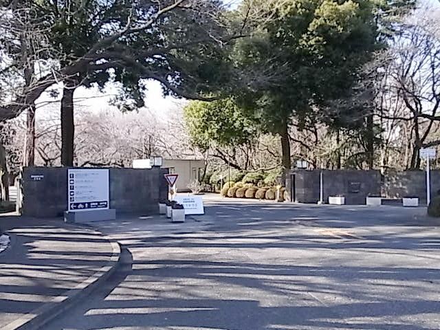 その他　国際基督教大学（その他）まで180m