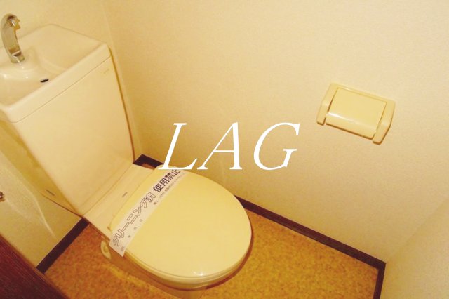 メイプル60のトイレ写真