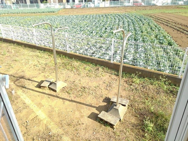 庭