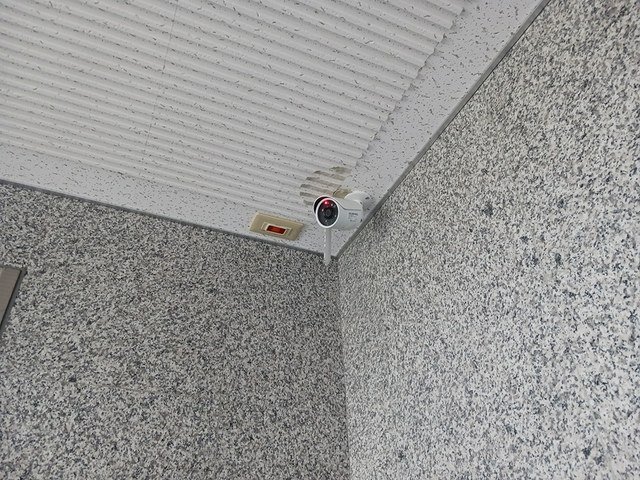 ホワイトヒルズ ドリーバーデンのその他写真