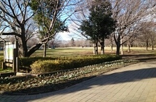 公園　青葉の森公園（公園）まで1100m