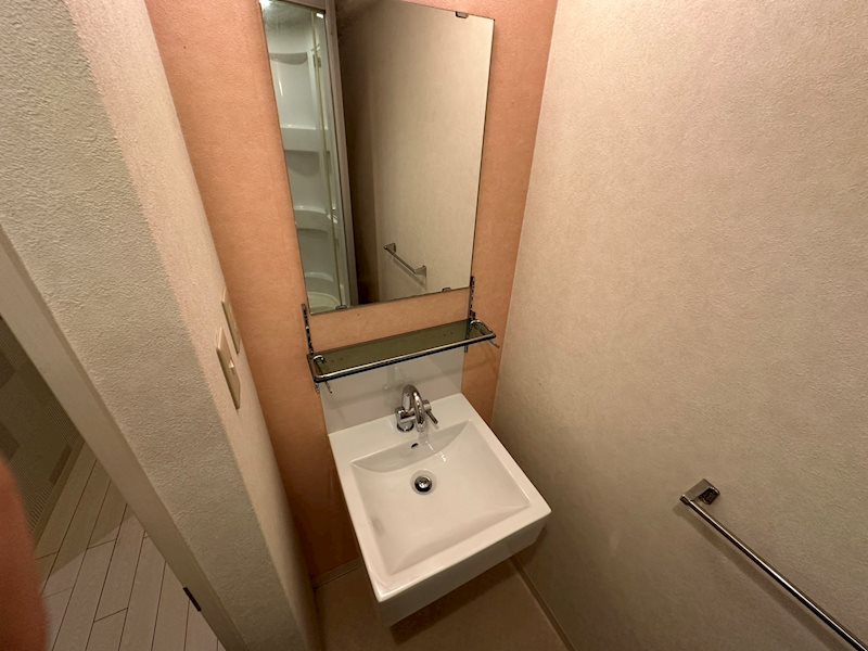 洗面設備　同物件同号室のお写真です。