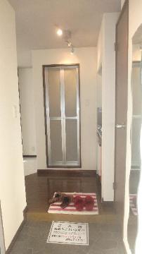 ガルボ茨木　玄関　玄関