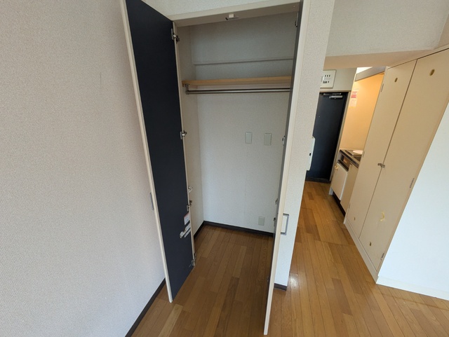 収納　クローゼットです♪※清掃前です。