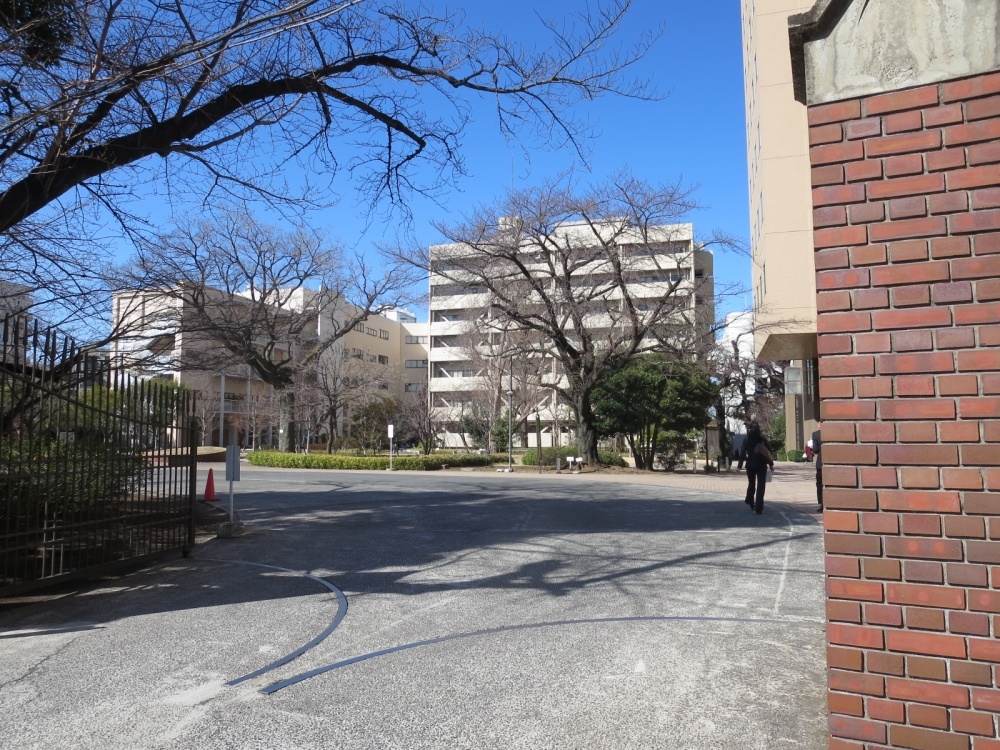 【ザ・パークハビオ文京目白台プレイスの大学・短大】