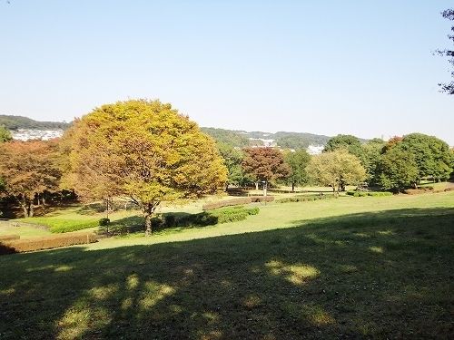 【八王子市松木のマンションの公園】