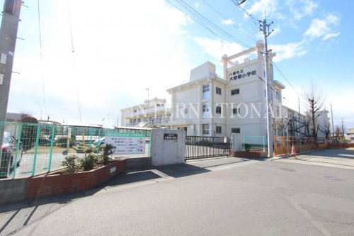 小学校　八潮市立大曽根小学校（小学校）まで538m