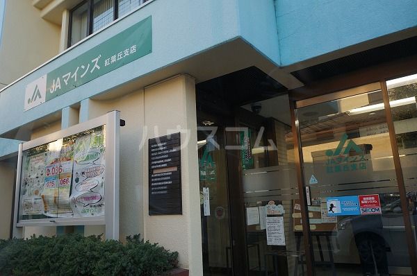 銀行　マインズ農業協同組合 紅葉丘支店（銀行）まで860m