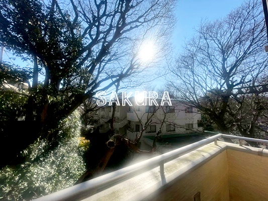 その他　見晴らし良好です♪