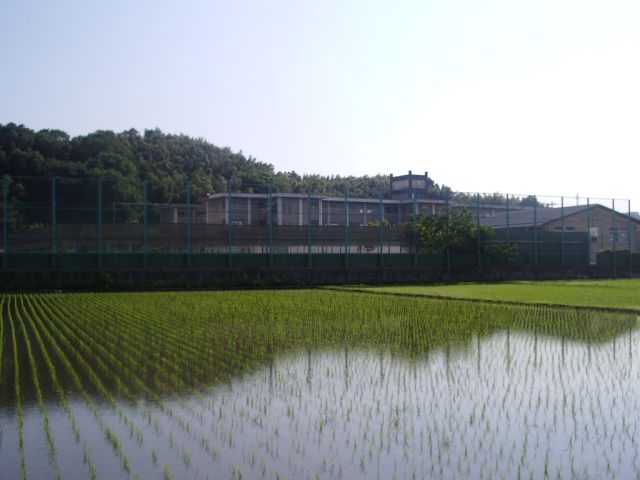 中学校　市立朝明中学校（中学校）まで3100m