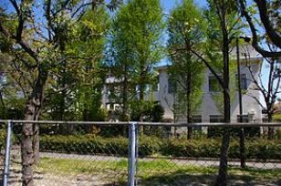 中学校　福岡中学校（中学校）まで800m