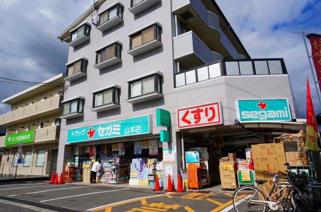 ドラックストア　ドラッグセガミ山本店（ドラッグストア）まで320m