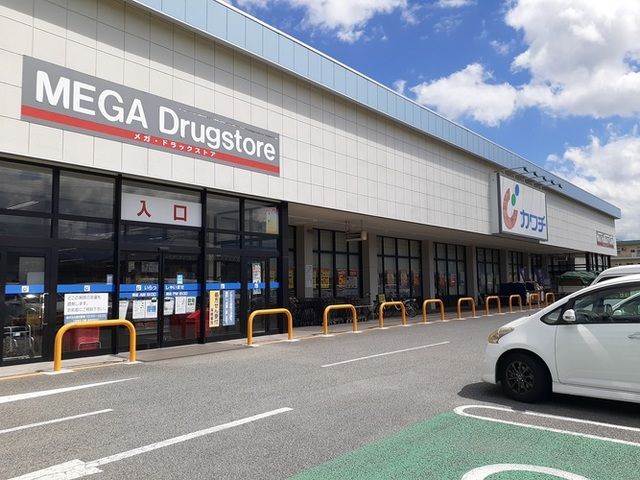 ドラックストア　カワチ薬品小瀬店（ドラッグストア）まで1100m