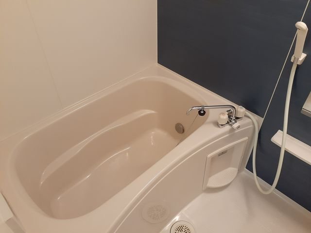 バス・シャワールーム　お風呂です